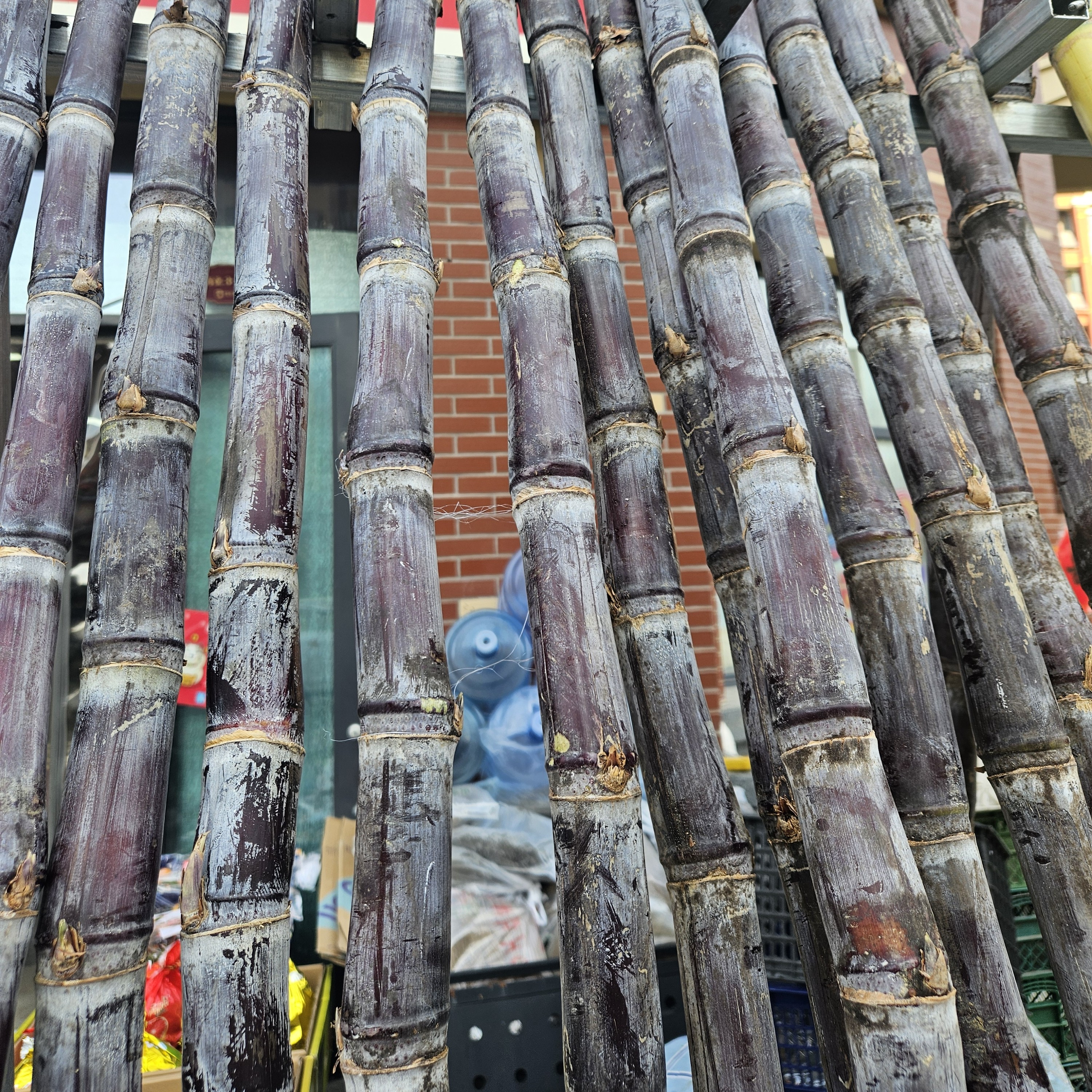 广西大甜脆粗长包削皮切段黑皮甘蔗新鲜现砍应季水果多汁清甜可口薄皮当季