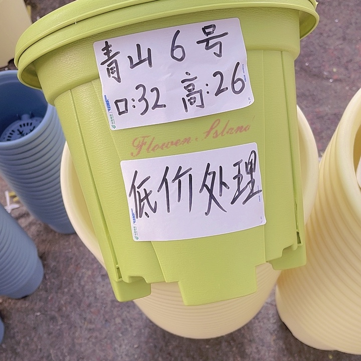 树脂青山6号果绿色4个