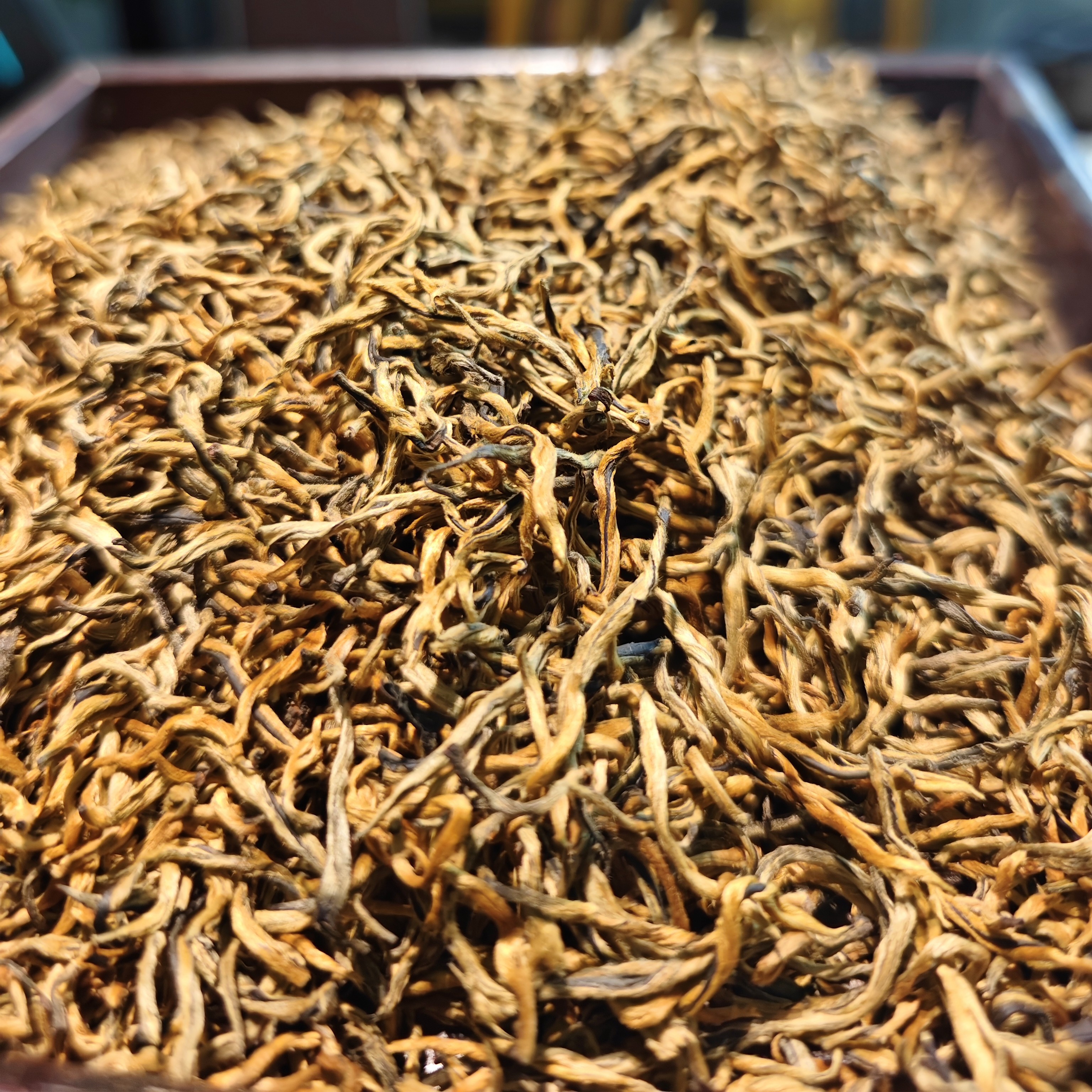 滇红金丝，云南精品滇红高山茶园春茶蜜香型茶叶