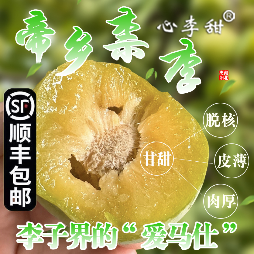 心李甜新鲜湖北奈李纯甜清脆爽口应季水果现摘现发