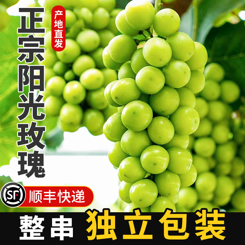【顺丰】正宗阳光玫瑰新鲜葡萄整串新鲜发货应季水果鲜甜多汁