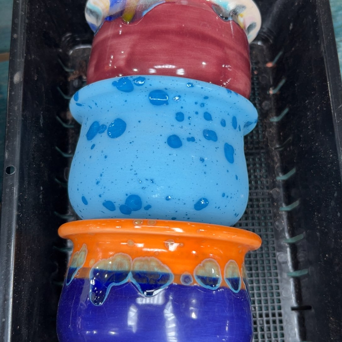 多肉一物一拍0115/60