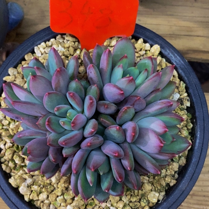 是吗这不还没有下班