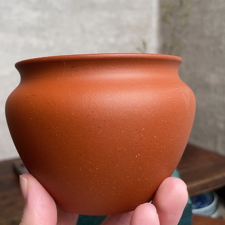 马蹄声响起的时候