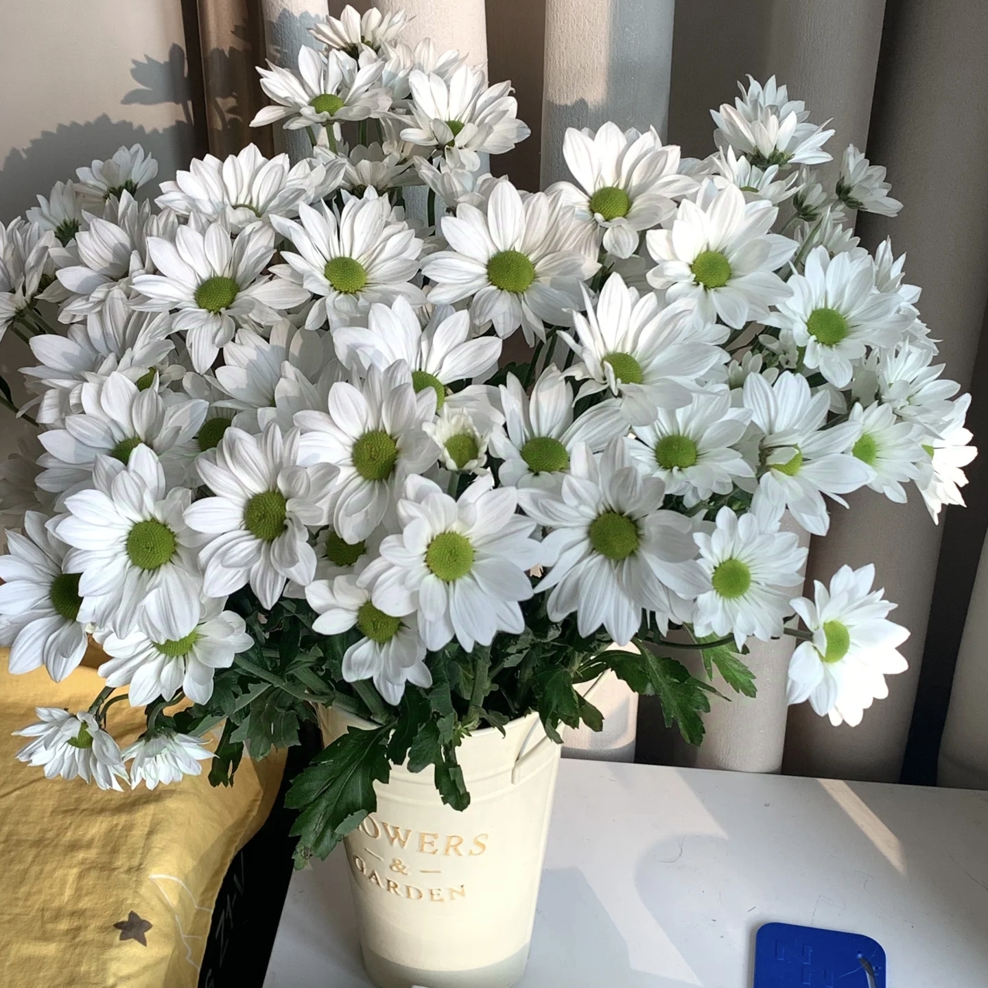 【花礼集】•白色三文鱼～热销