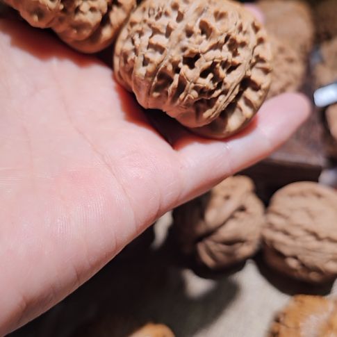 文玩核桃吊坠43白狮子