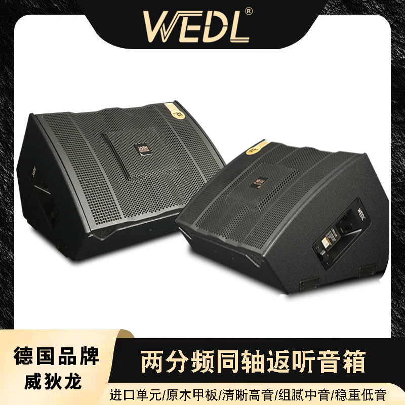 德国威狄龙WEDL新款银龙系列专业同轴返听音响