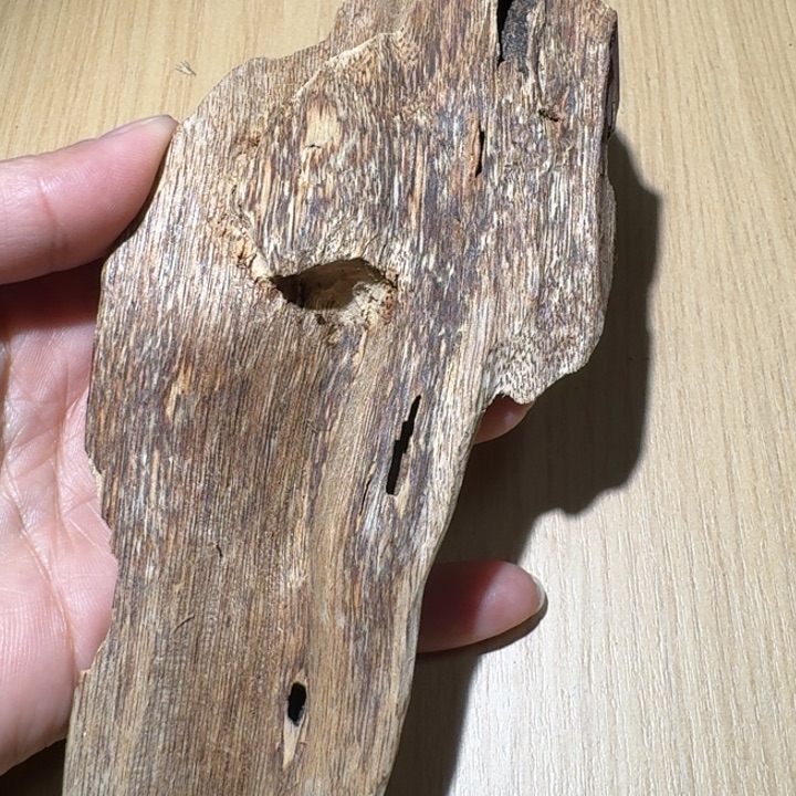 楠木薰香虫漏块料29克