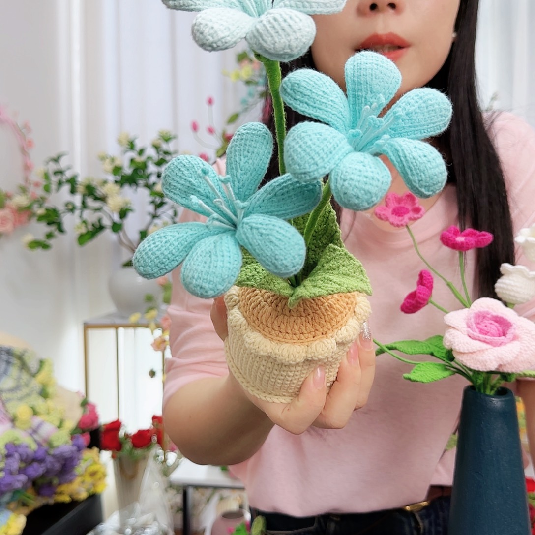 莱赛尔纤维棉手工钩织盆栽