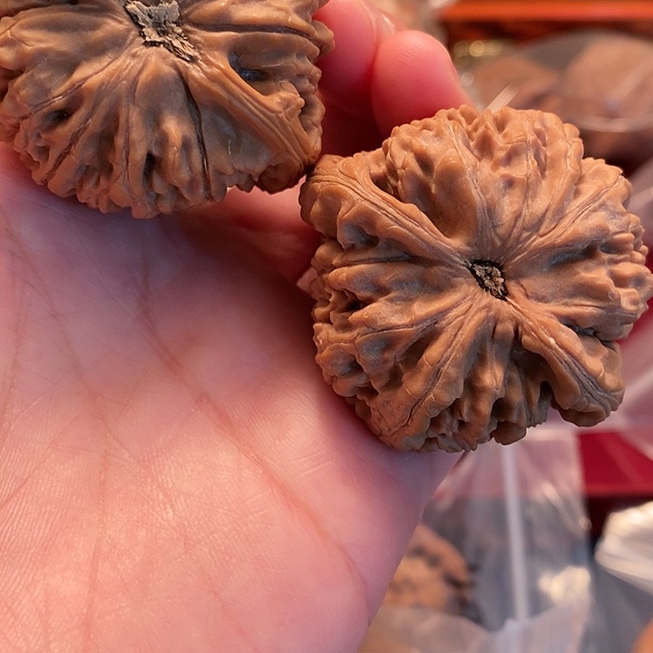 【闪购商品】文玩核桃吊坠高***明水龙lo h