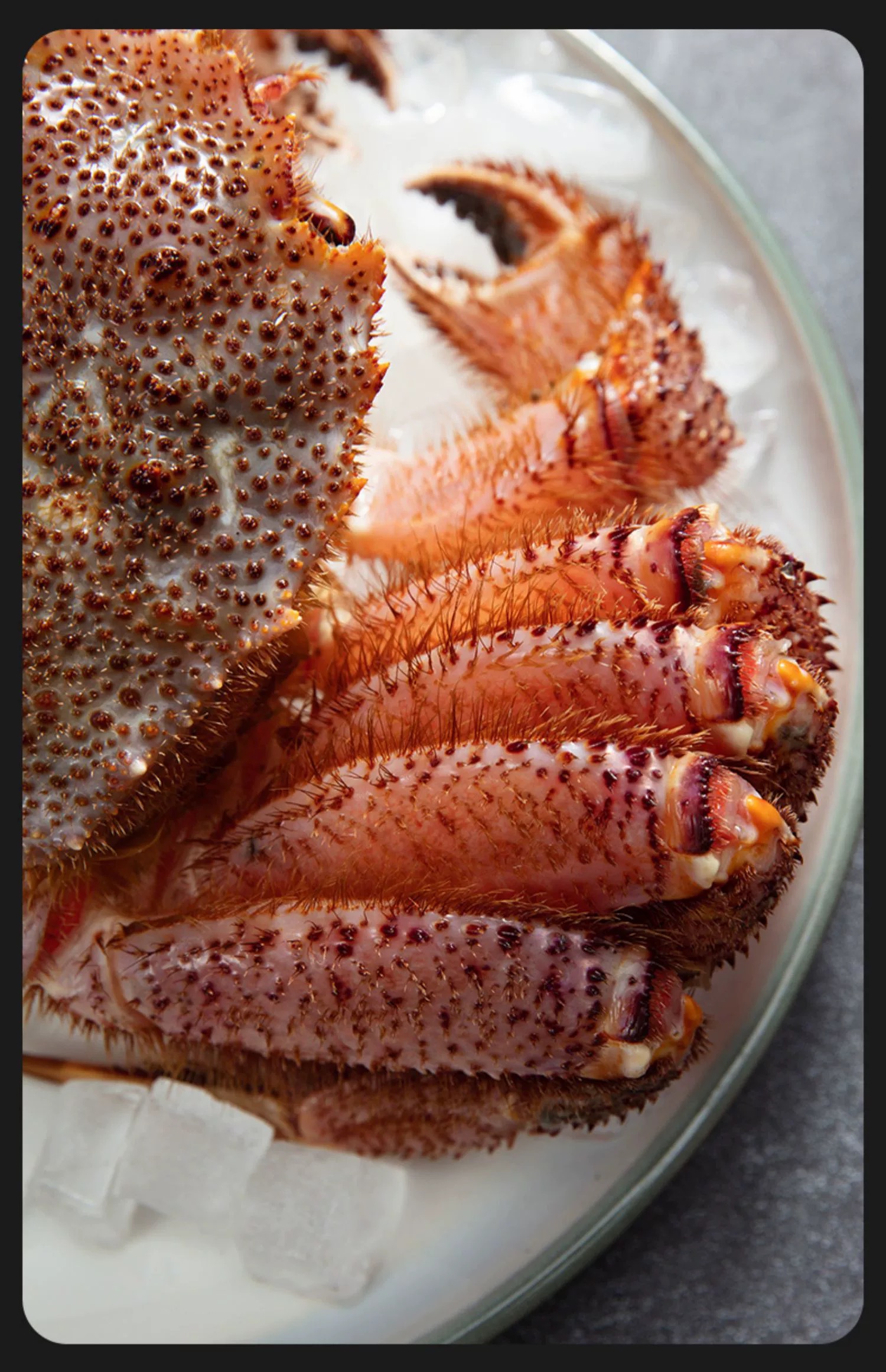 直播现称 江浙沪皖压冰发货【保鲜不保活】缺脚其余省份冻发HM