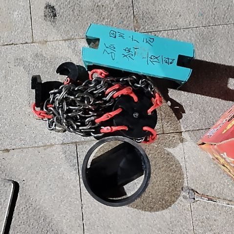 雪松定制五爪拉马