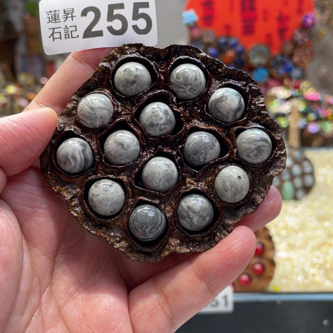 核桃木/黑胡桃（胡桃木）255