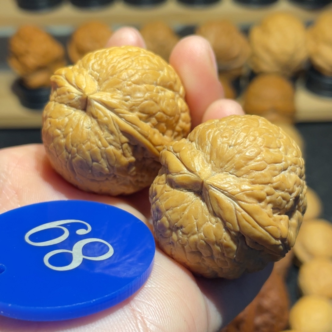 绝版七彩大西瓜核桃35