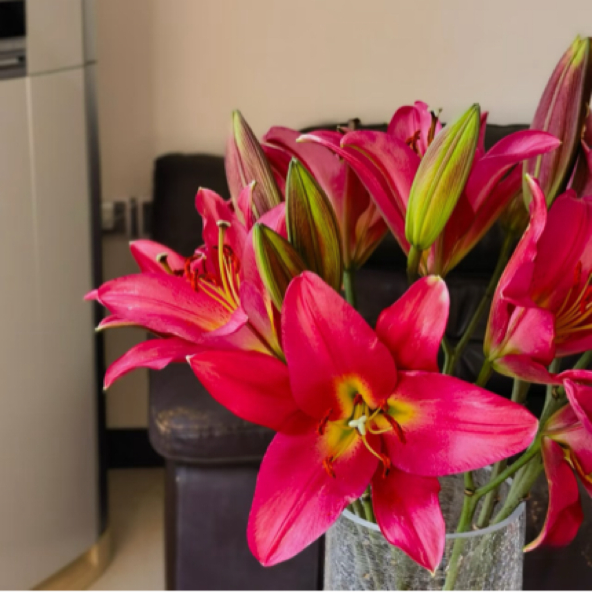 【云南基地源头优选】火石香水百合