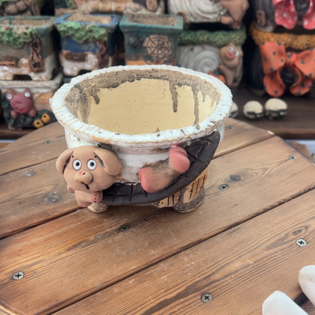 红陶嘻哈多肉花盆