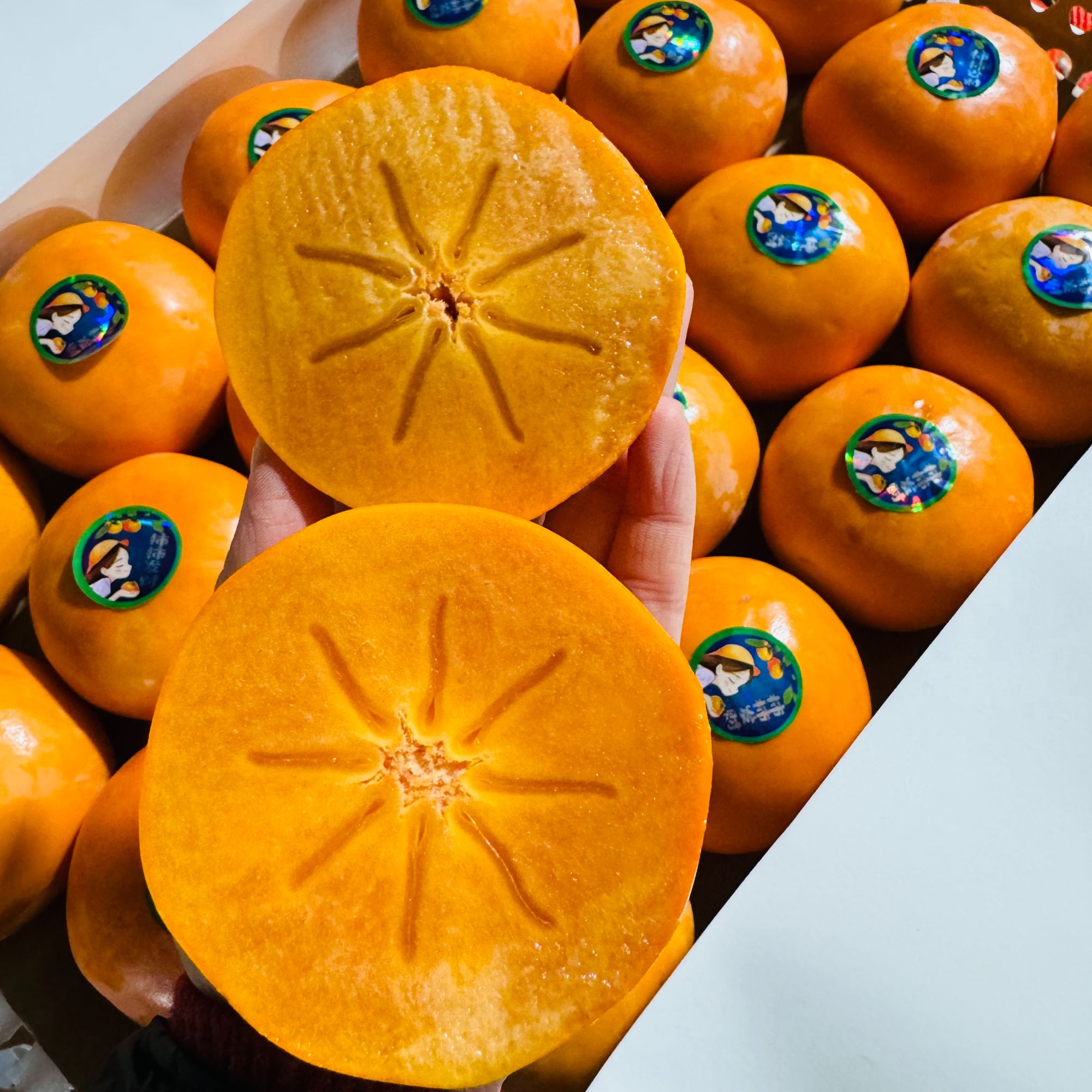 【巧克力脆柿子】【东北三省发货】又甜又脆不涩口