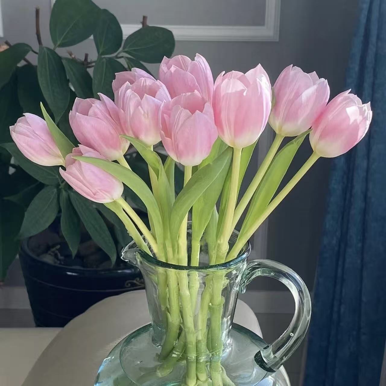 【花之物语】郁金香王朝粉 包邮
