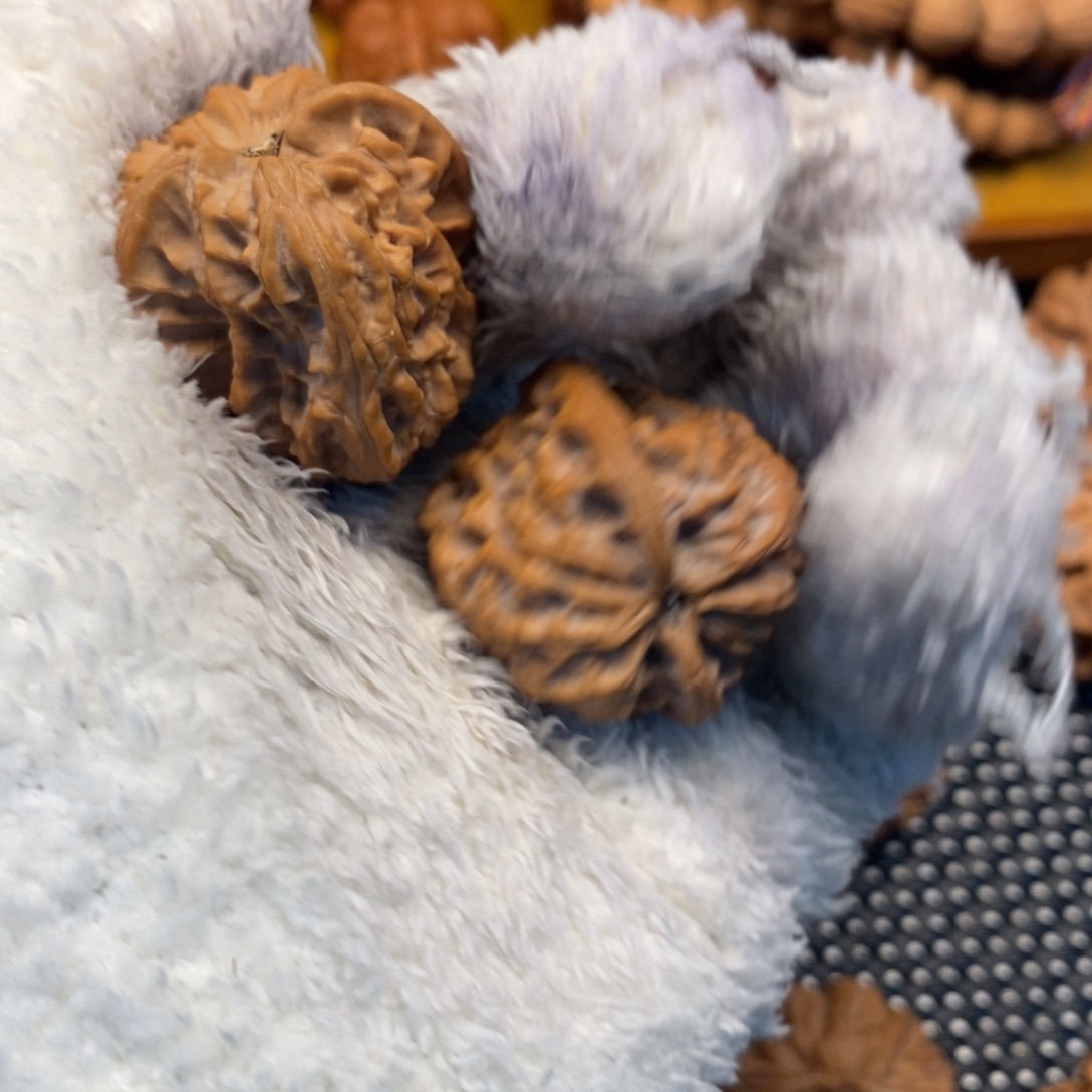 1***1秦岭森林茂密和植被稀疏