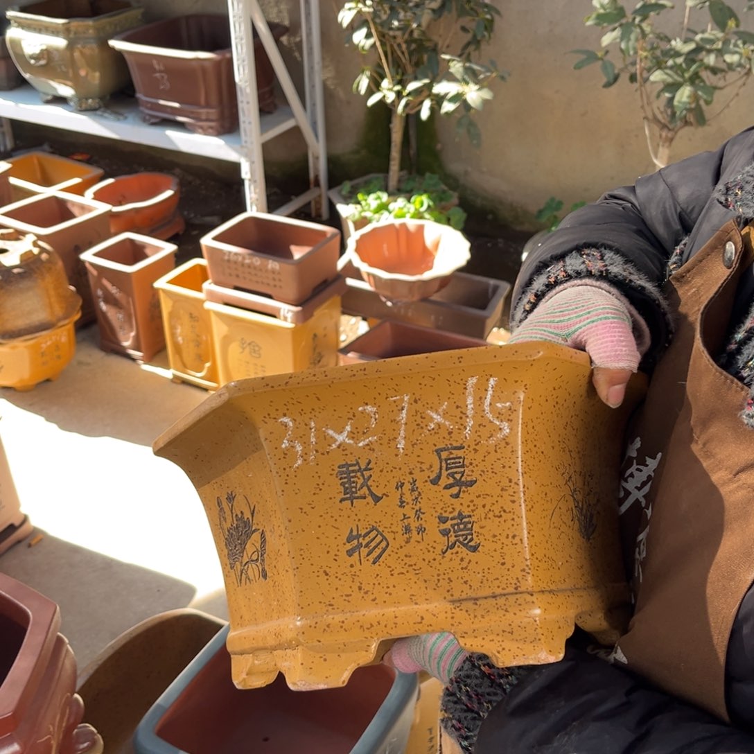 花盆紫砂盆景艺术