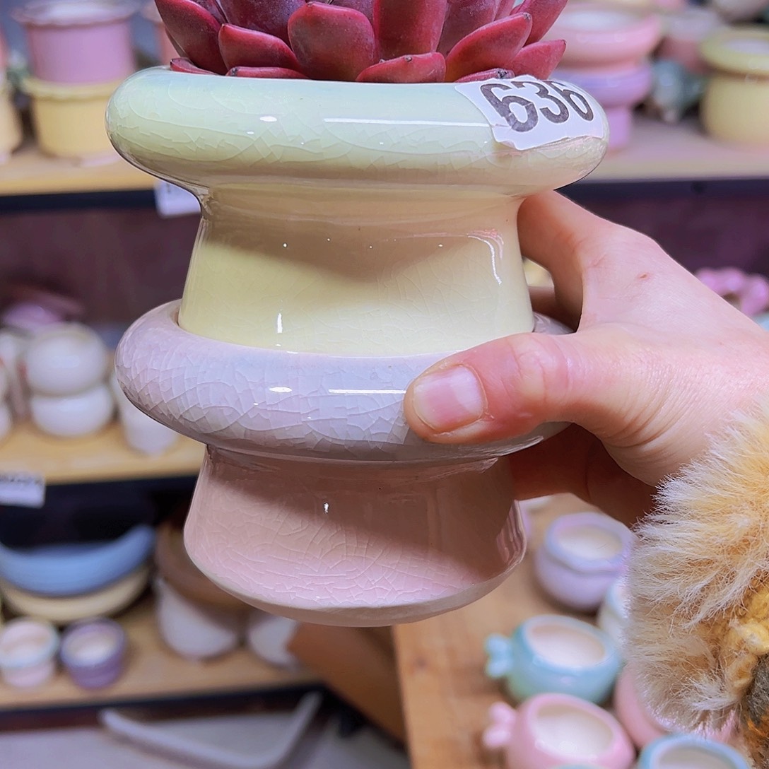 陶瓷花盆当场凑满12包邮