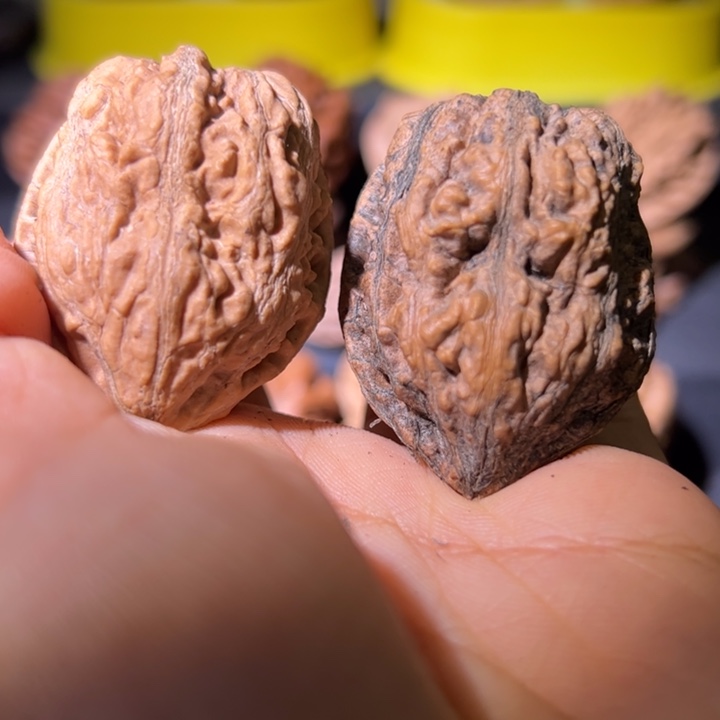 文玩核桃吊坠核桃52