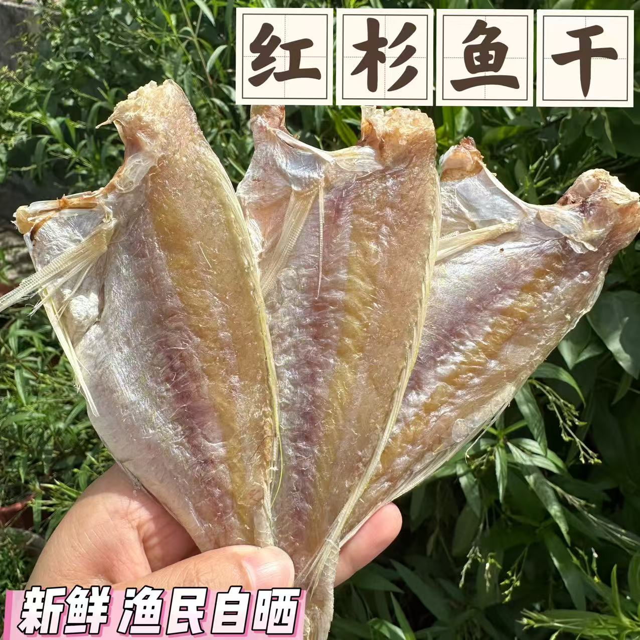 红杉鱼干北海本港渔民自晒红杉鱼干咸香