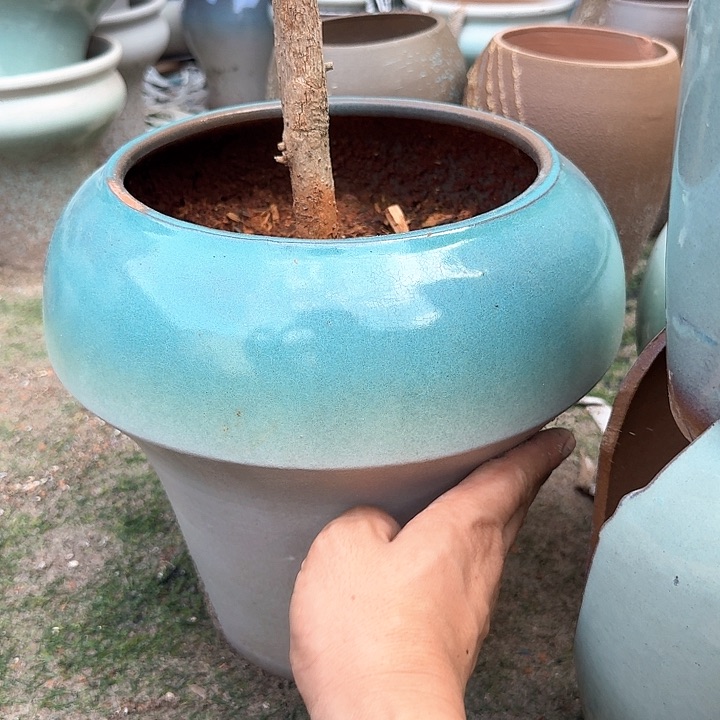 微瑕花盆啦啦啦啦