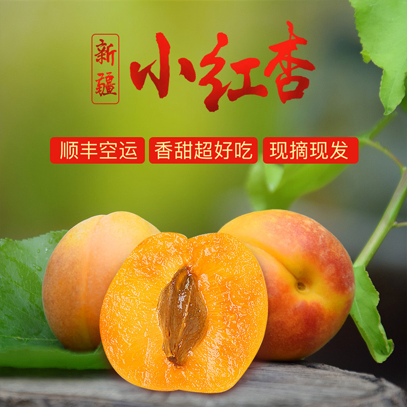 新疆正宗吊干杏新鲜应季水果香甜多汁现摘杏子新疆特级吊干杏