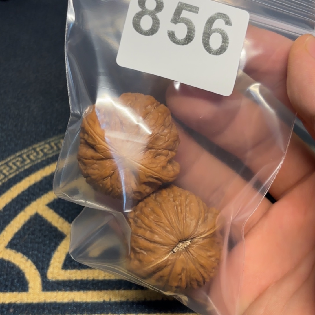 文玩核桃吊坠铁锤856