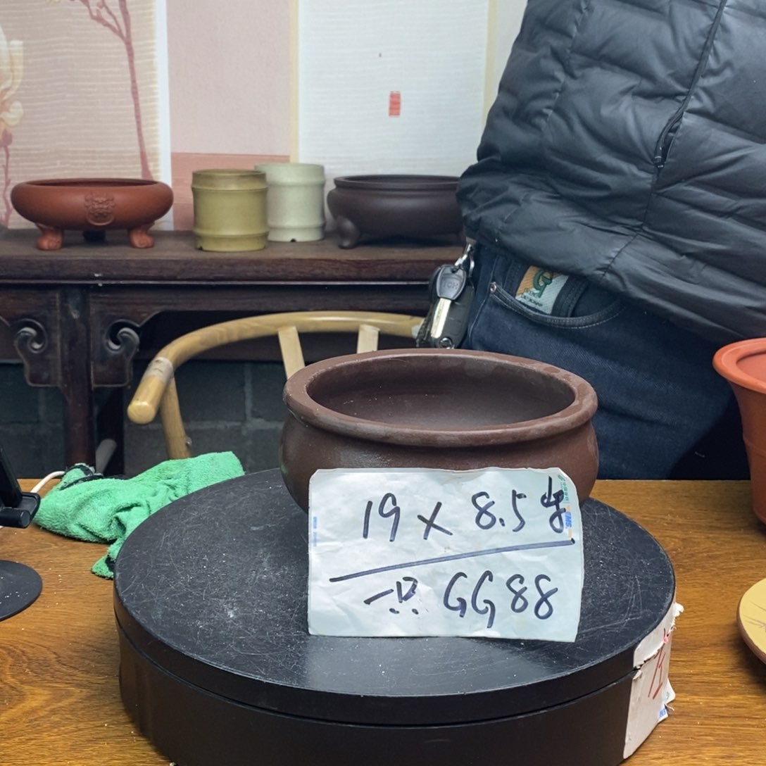 红陶货号一只GG88