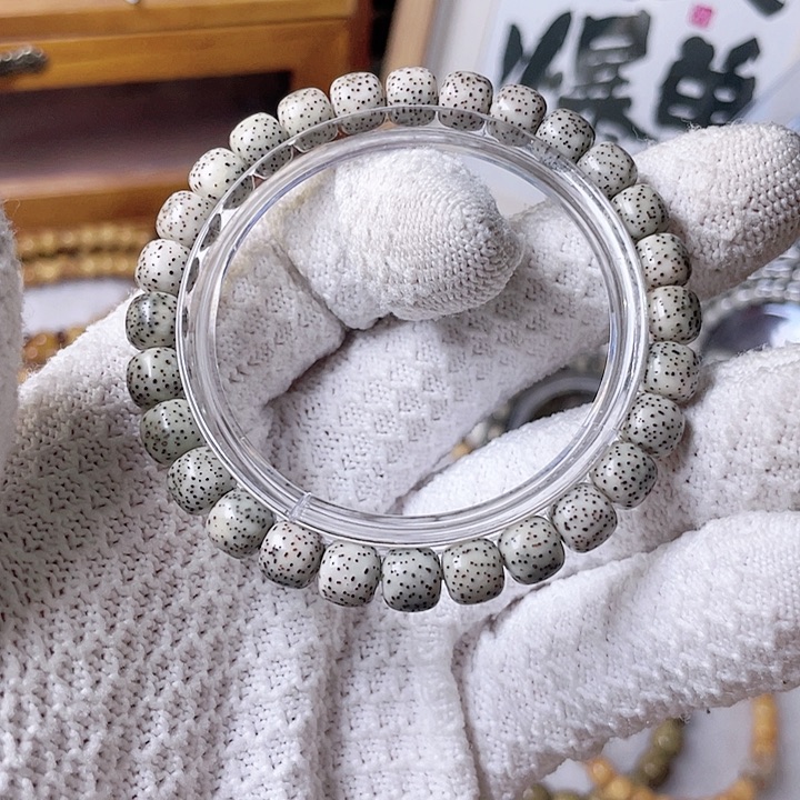 星月菩提手串河豚双标8 星月哈哈哈