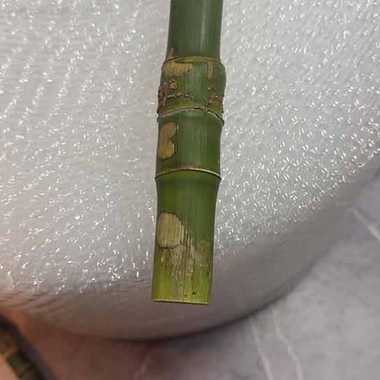 时***留竹类实心玉竹手把件