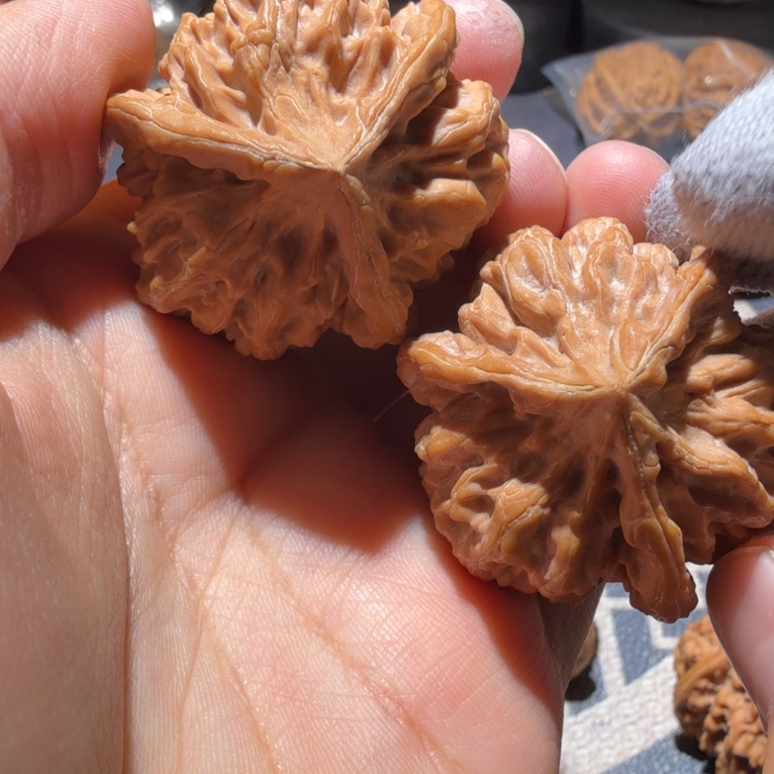 阳****文玩核桃把件帝王三棱