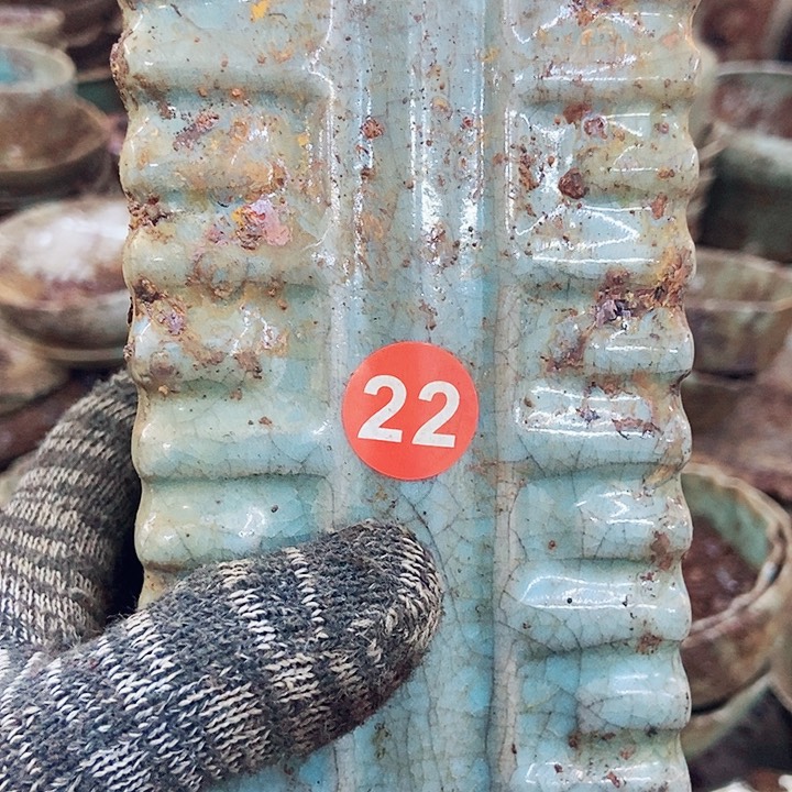 瓶神*1111111111111111111