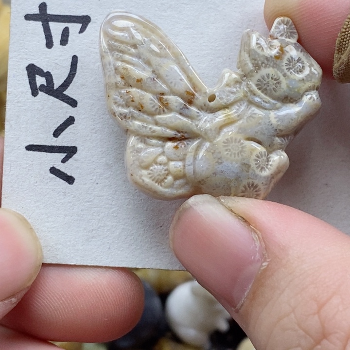 颈饰未镶嵌硅化珊瑚（珊瑚玉）