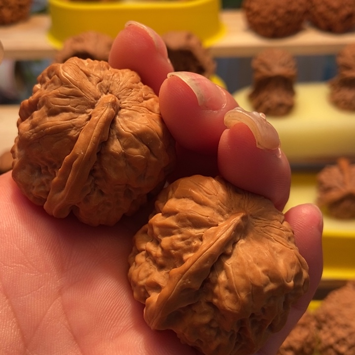 官方网站发布消息显示