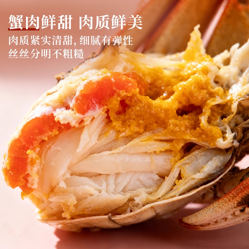 【活蟹】正宗江苏精品大闸蟹3.5两公2.5两母6/8/10只装 