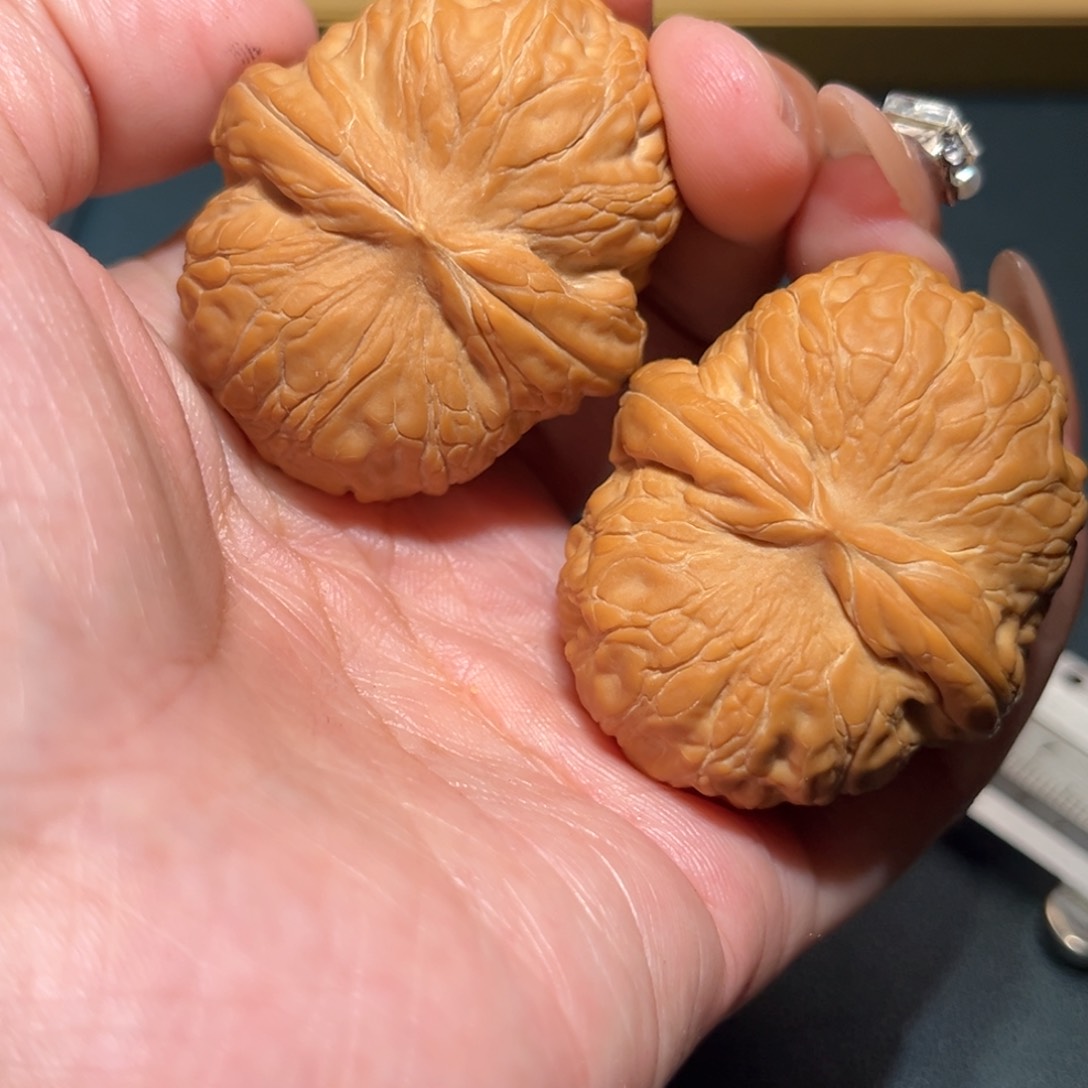 文玩核桃把件用****6元宝43