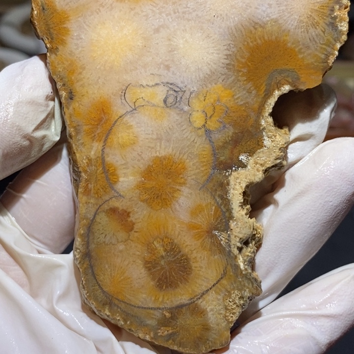 【闪购商品】未镶嵌珊瑚玉硅化玉