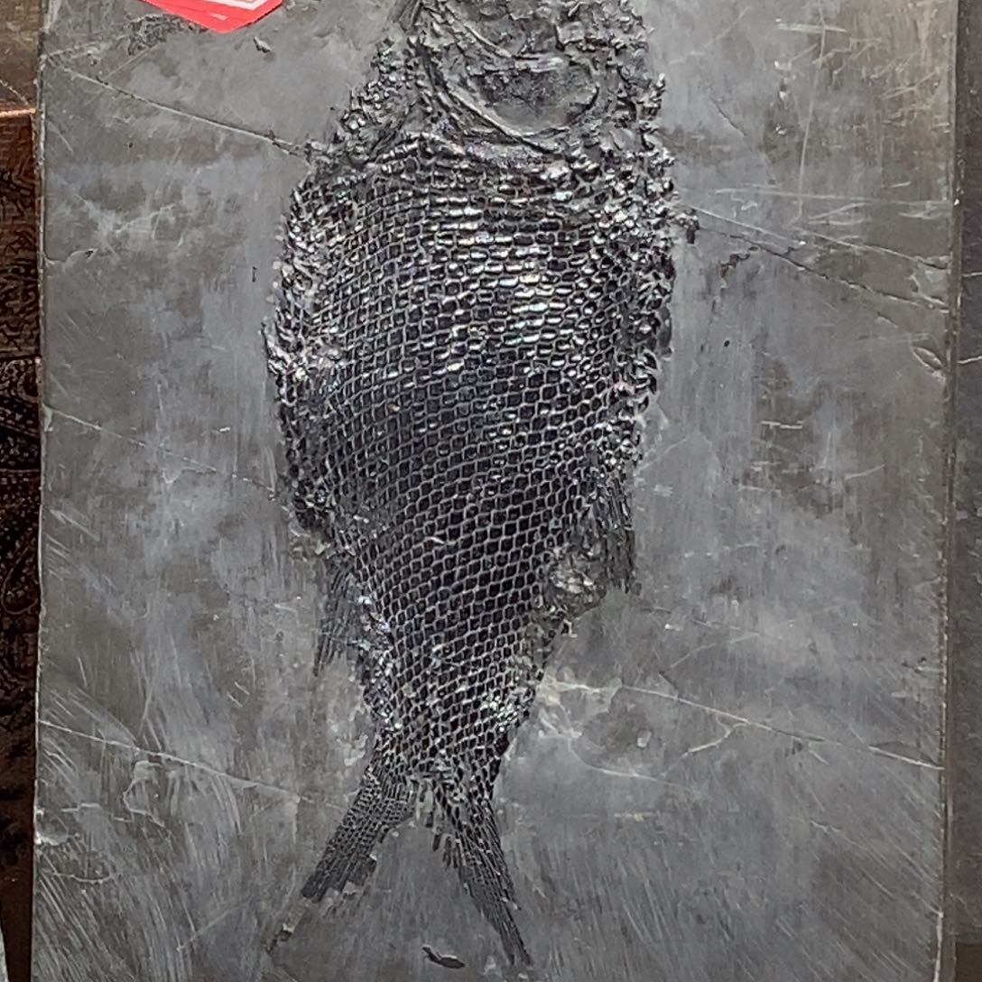 石材是*.大自然的秘密就是这样神奇