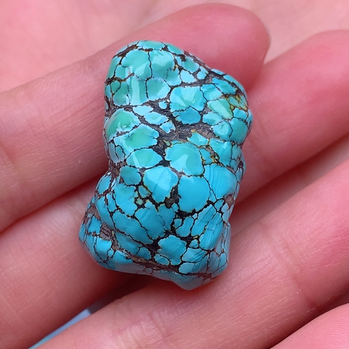 绿松石颈饰未镶嵌