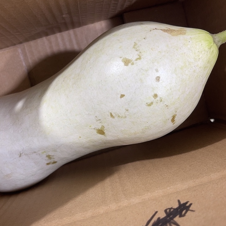 非洲紫檀（红花梨）亚****德
