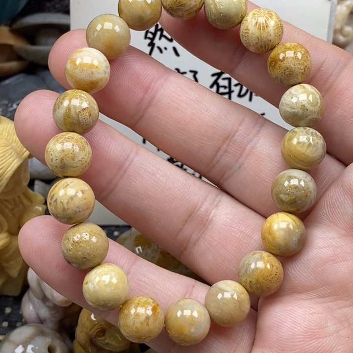 硅化珊瑚（珊瑚玉）未镶嵌颈饰