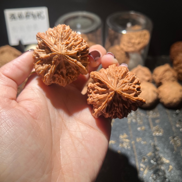 小众人丁兴旺44/40