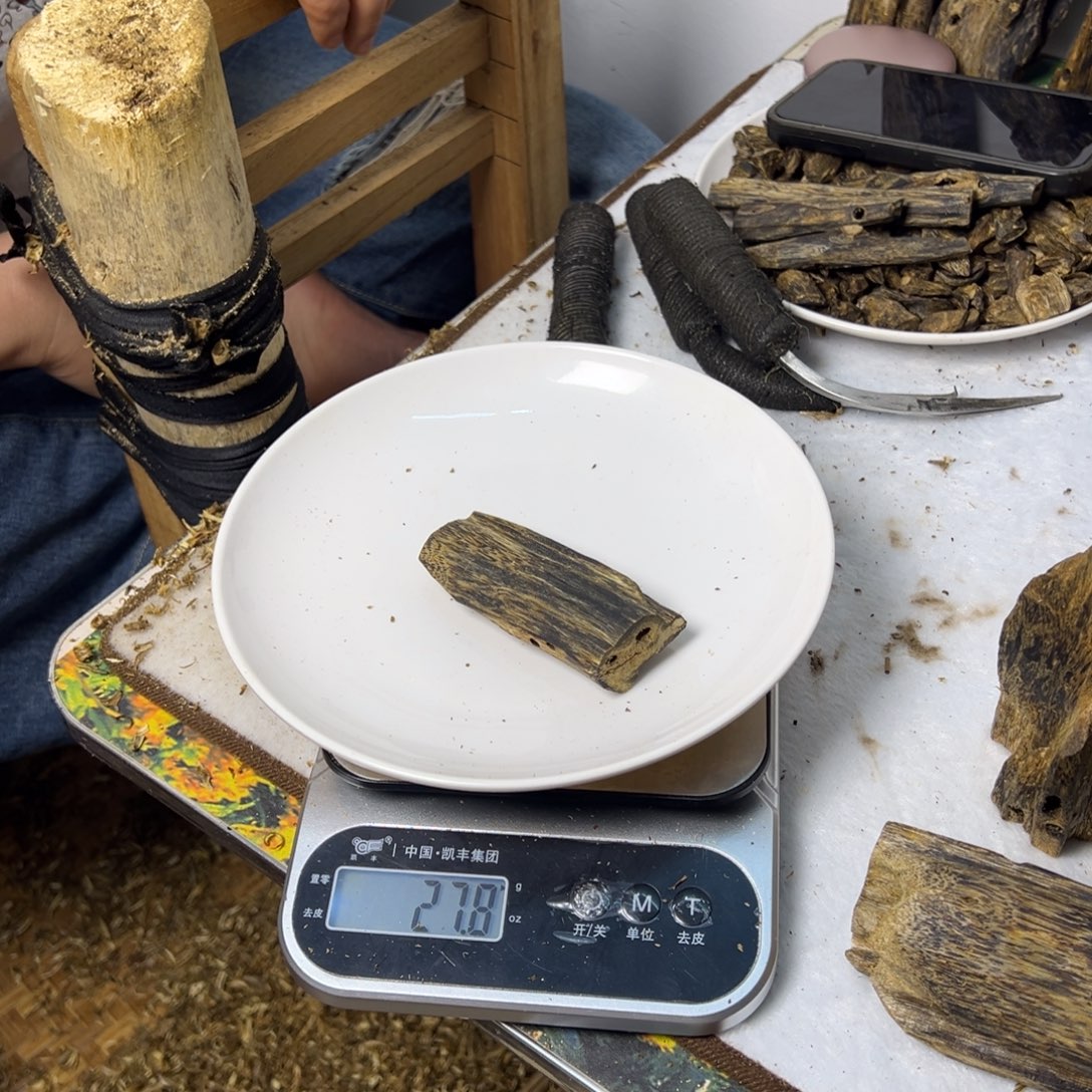 线香奇楠虫漏香27克