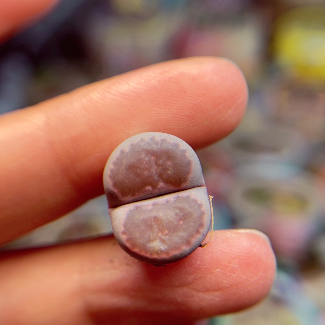 345。88888888888888888