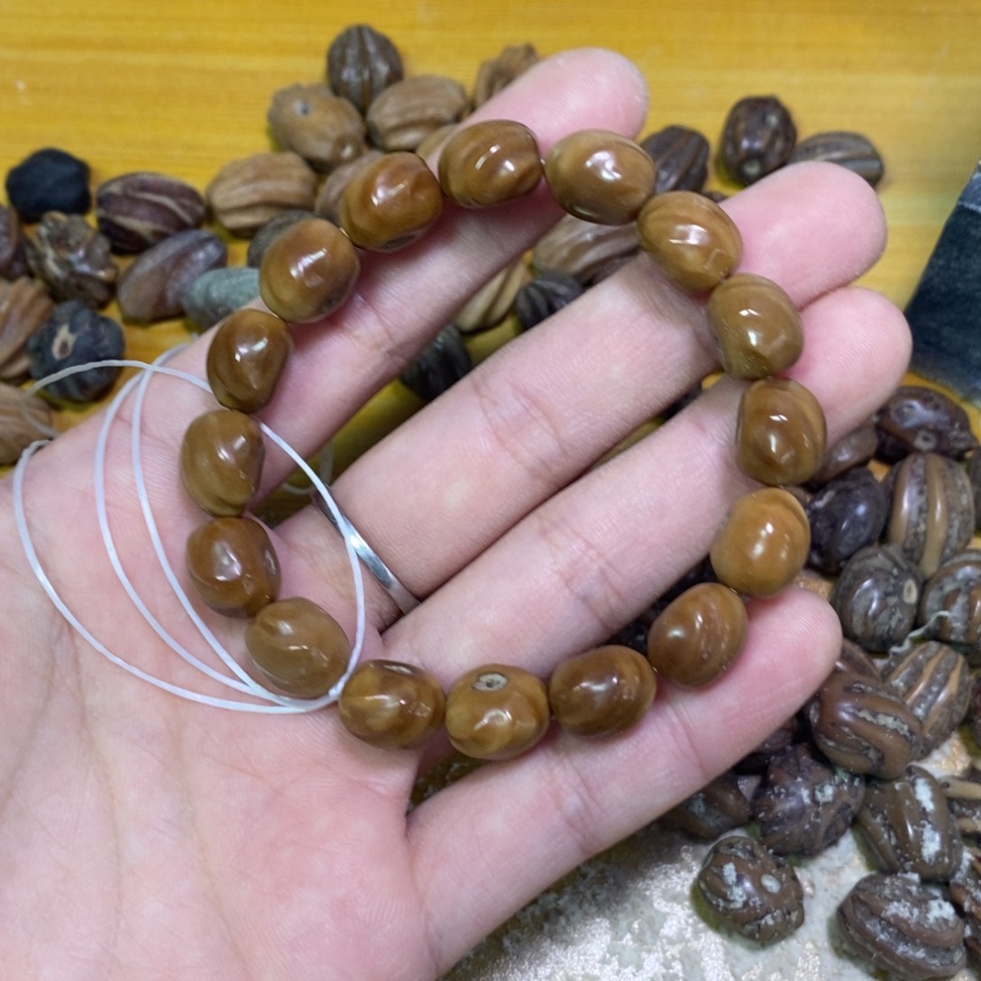 云***垦吊坠龙脊菩提龙脊菩提，老料贝壳深色