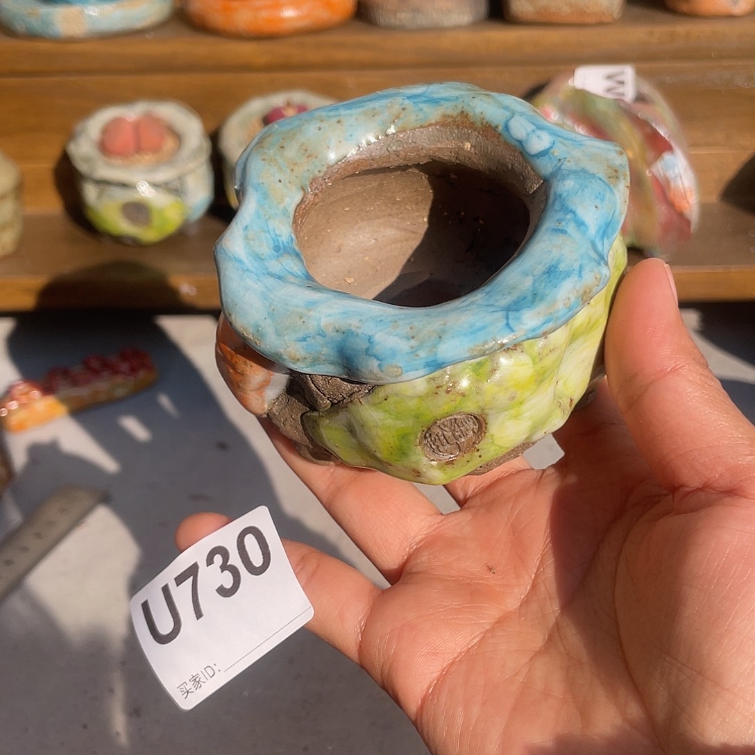 坛子姐花盆 孤品油画山石小包子内口4.5