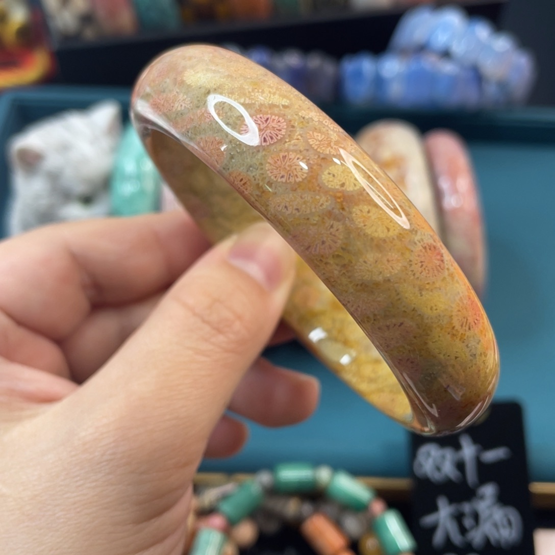 未镶嵌手镯硅化玉